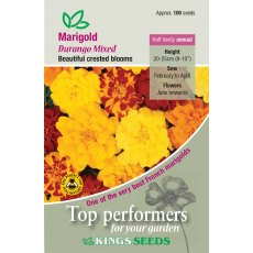 Marigold French Durango Mixed Marigold French Durango Mixed