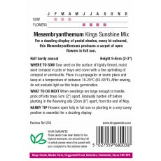Mesembryanthemum Kings Sunshine Mix Mesembryanthemum Kings Sunshine Mix