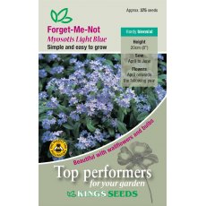 Forget Me Not Light Blue (Myosotis) Forget Me Not Light Blue (Myosotis)
