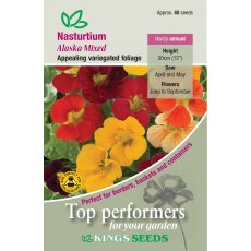 Nasturtium Alaska Mixed Nasturtium Alaska Mixed