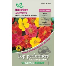 Nasturtium Jewel Mixed Nasturtium Jewel Mixed
