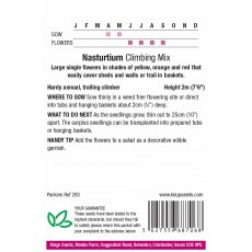 Nasturtium Climbing Mixed Nasturtium Climbing Mixed