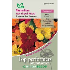 Nasturtium Tom Thumb Mixed Nasturtium Tom Thumb Mixed