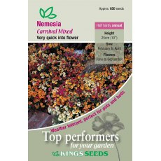 Nemesia Carnival Mixed Nemesia Carnival Mixed