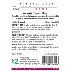 Nemesia Carnival Mixed Nemesia Carnival Mixed