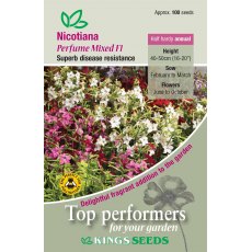 Nicotiana Perfume Mixed F1 Nicotiana Perfume Mixed F1
