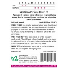 Nicotiana Perfume Mixed F1 Nicotiana Perfume Mixed F1