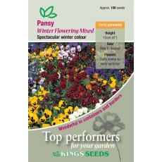 Pansy Winter Flowering Mixed Pansy Winter Flowering Mixed