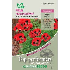 Poppy Ladybird Poppy Ladybird