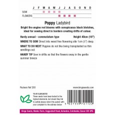 Poppy Ladybird Poppy Ladybird