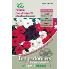 Petunia Cascade Mixed F1 Petunia Cascade Mixed F1