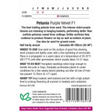 Petunia Purple Velvet F1 Petunia Purple Velvet F1