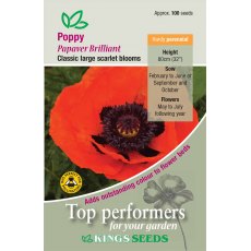 Poppy Brilliant Scarlet Poppy Brilliant Scarlet