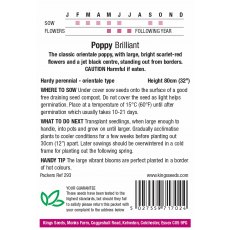 Poppy Brilliant Scarlet Poppy Brilliant Scarlet