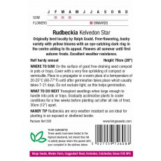 Rudbeckia Hirta Kelvedon Star Rudbeckia Hirta Kelvedon Star