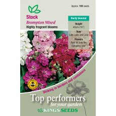 Stock Brompton Mixed Stock Brompton Mixed