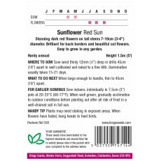 Sunflower Red Sun Sunflower Red Sun