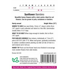 Sunflower Bambino Sunflower Bambino