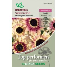 Sunflower Summer Lovin F1 Sunflower Summer Lovin F1