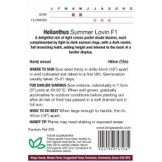 Sunflower Summer Lovin F1 Sunflower Summer Lovin F1