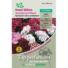 Sweet Wiliam Auricula-Eyed Mixed Sweet Wiliam Auricula-Eyed Mixed