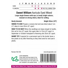 Sweet Wiliam Auricula-Eyed Mixed Sweet Wiliam Auricula-Eyed Mixed