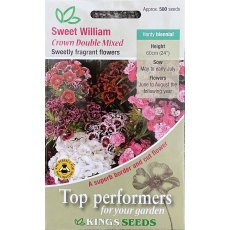 Sweet William Crown Double Mixed Sweet William Crown Double Mixed