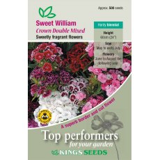 Sweet William Crown Double Mixed Sweet William Crown Double Mixed