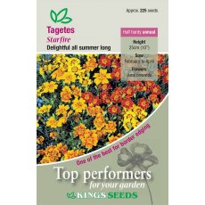Tagetes Starfire Tagetes Starfire