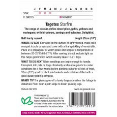 Tagetes Starfire Tagetes Starfire