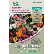 Wallflower Persian Carpet Mixed Wallflower Persian Carpet Mixed