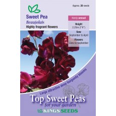 Sweet Pea Beaujolais Sweet Pea Beaujolais