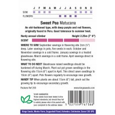 Sweet Pea Matucana Sweet Pea Matucana