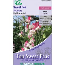 Sweet Pea Sweet Pea Promise Sweet Pea Sweet Pea Promise