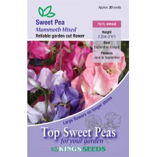 Sweet Pea Mammoth Mix Sweet Pea Mammoth Mix