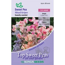 Sweet Pea Mixed Stripes Sweet Pea Mixed Stripes