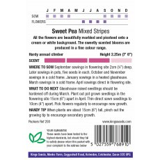 Sweet Pea Mixed Stripes Sweet Pea Mixed Stripes