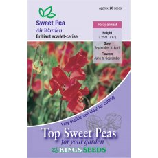 Sweet Pea Air Warden Sweet Pea Air Warden