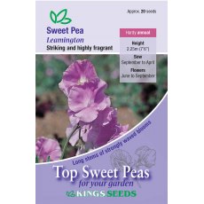 Sweet Pea Leamington Sweet Pea Leamington