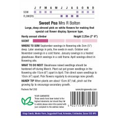 Sweet Pea Mrs R Bolton Sweet Pea Mrs R Bolton