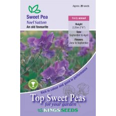Sweet Pea Noel Sutton Sweet Pea Noel Sutton