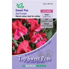 Sweet Pea Red Ensign Sweet Pea Red Ensign