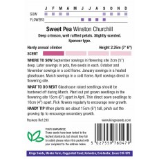 Sweet Pea Winston Churchill Sweet Pea Winston Churchill