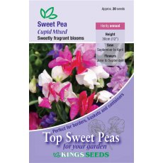Sweet Pea Cupid Mixed Sweet Pea Cupid Mixed