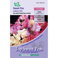 Sweet Pea Galaxy Sweet Pea Galaxy