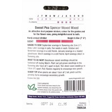 Sweet Pea Spencer Waved Mix Sweet Pea Spencer Waved Mix