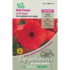 Wild Flower Poppy Field Wild Flower Poppy Field