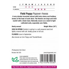 Wild Flower Poppy Field Wild Flower Poppy Field