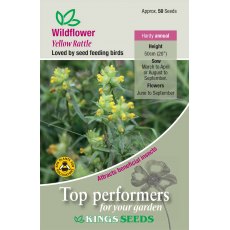 Wild Flower Yellow Rattle Wild Flower Yellow Rattle