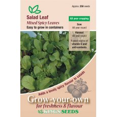 Salad Leaf Mixed Spicy Leaf Salad Leaf Mixed Spicy Leaf